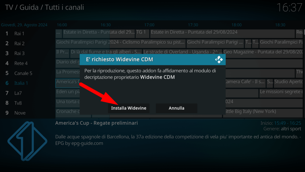 Come guardare i canali TV su Kodi 14